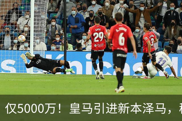 仅5000万！皇马引进新本泽马，穆帅4231战术升级，瞄准西甲欧冠双冠