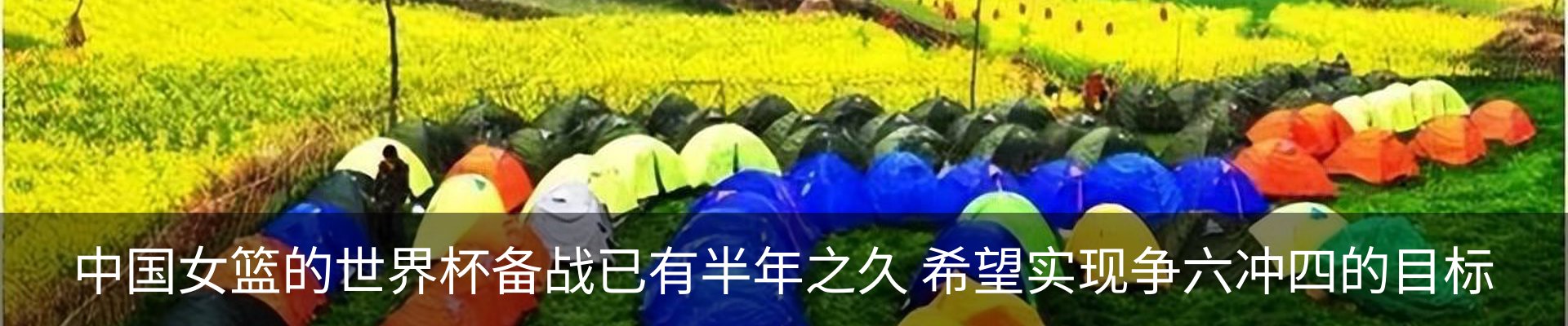 资讯动态