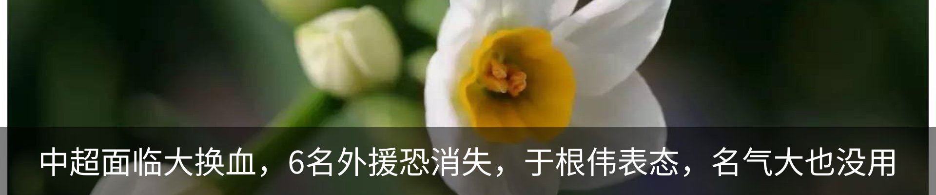 资讯动态