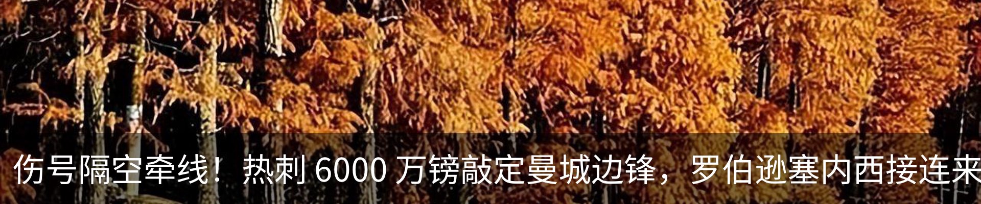 资讯动态