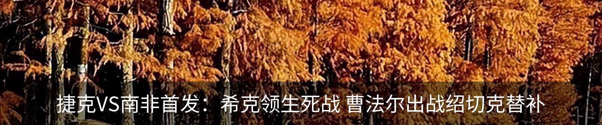 资讯动态