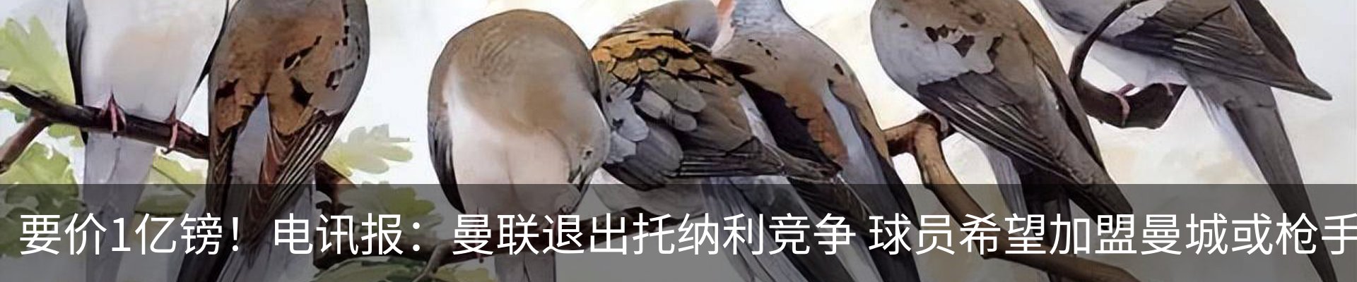 资讯动态