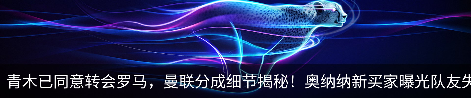 资讯动态
